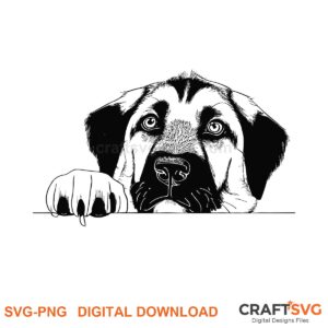 Anatolian Shepherd SVG PNG - Anatolian Shepherd peeking dog design for Cricut and Silhouette, instant digital download