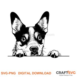 Australian Cattle SVG PNG - Australian Cattle peeking dog design for Cricut and Silhouette, instant digital download