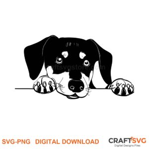 Beauceron SVG PNG - Beauceron peeking dog design for Cricut and Silhouette, instant digital download