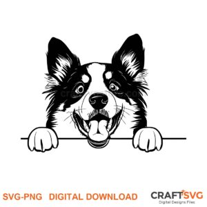 Peeking Border Collie SVG PNG - Border Collie dog design for Cricut and Silhouette