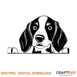 Brittany Spaniel SVG PNG - Brittany Spaniel peeking dog design for Cricut and Silhouette, instant digital download