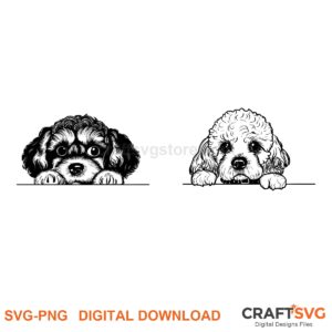 Cavapoo SVG PNG - Cavapoo peeking dog design for Cricut and Silhouette, instant digital download