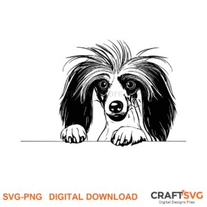 Chinese Crested SVG PNG - Chinese Crested peeking dog design for Cricut and Silhouette, instant digital download
