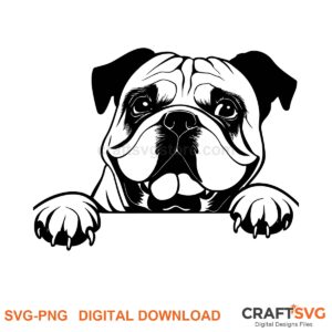 Continental Bulldog SVG PNG - Continental Bulldog peeking dog design for Cricut and Silhouette, instant digital download