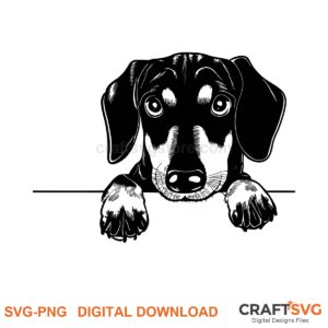 Dachshund SVG PNG - Dachshund peeking dog design for Cricut and Silhouette, instant digital download
