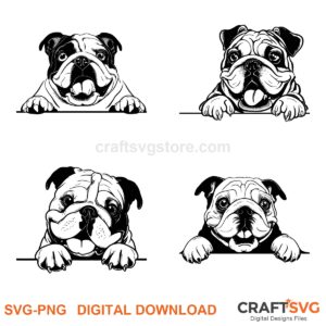 English Bulldog SVG PNG - English Bulldog peeking dog design for Cricut and Silhouette, instant digital download