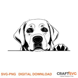 Labrador SVG PNG - Labrador peeking dog design for Cricut and Silhouette, instant digital download
