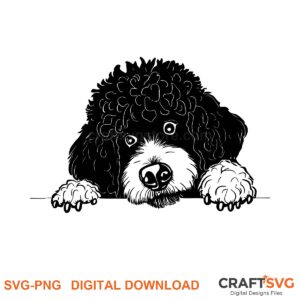 Portuguese Waterdog SVG PNG - Portuguese Waterdog peeking dog design for Cricut and Silhouette, instant digital download