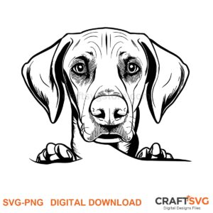 Vizsla SVG PNG - Vizsla peeking dog design for Cricut and Silhouette, instant digital download
